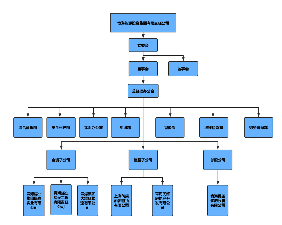 集團(tuán)公司組織機(jī)構(gòu).png